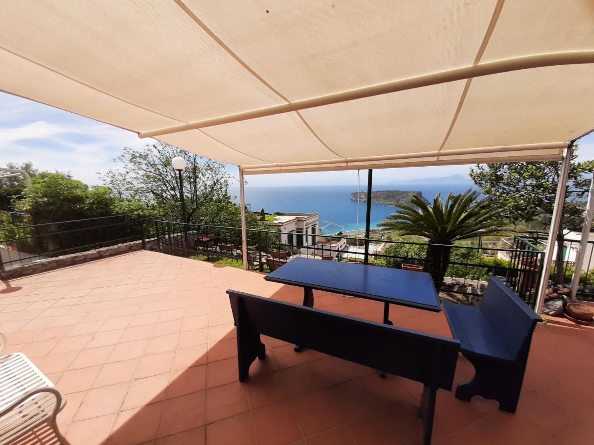Arcomagno Guest House San Nicola Arcella Dış mekan fotoğraf