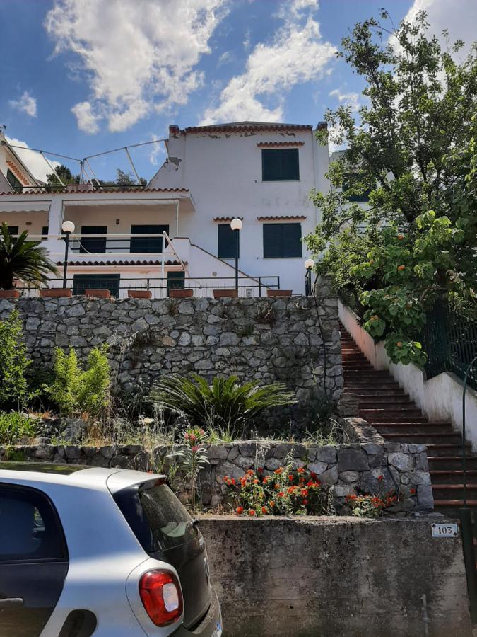Arcomagno Guest House San Nicola Arcella Dış mekan fotoğraf